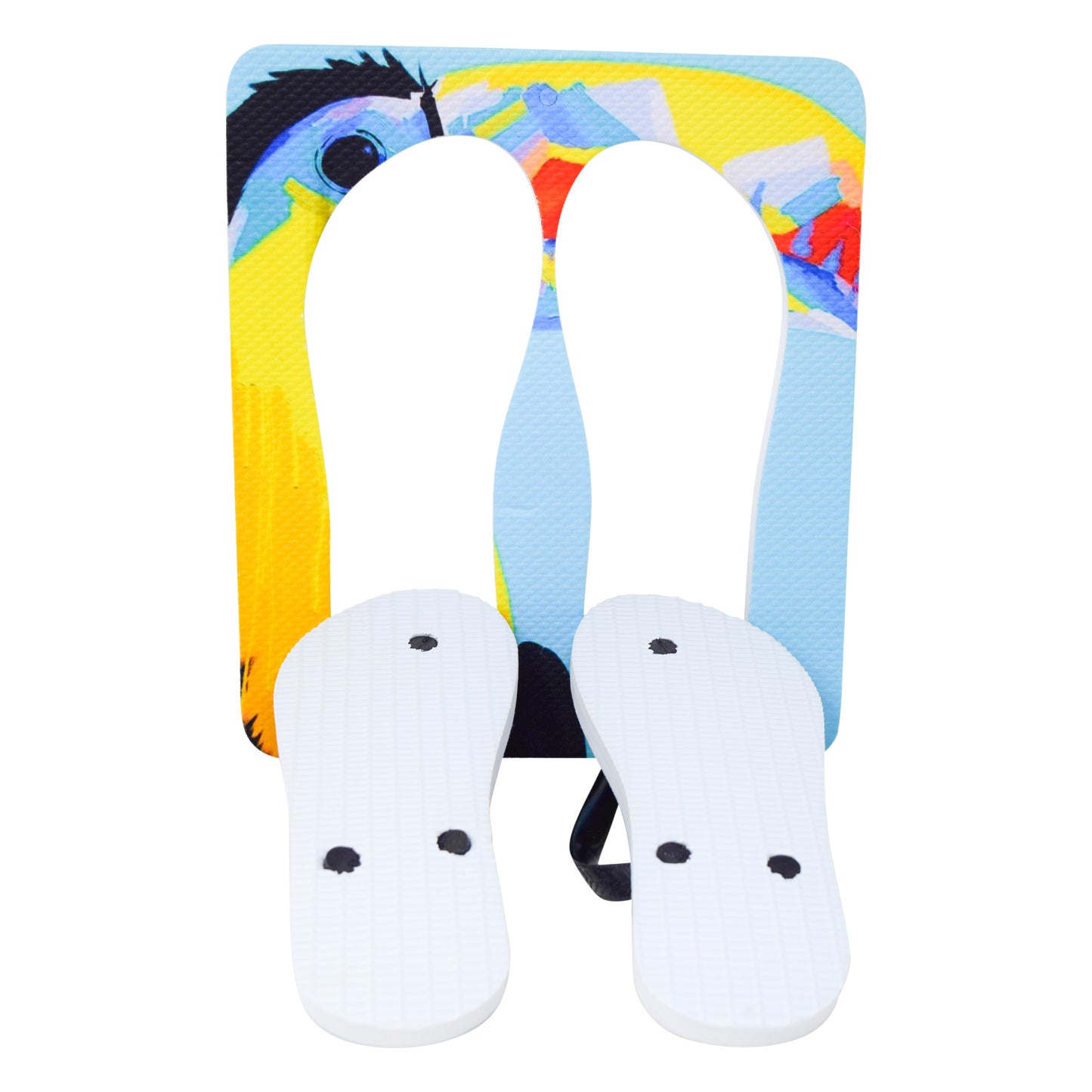 Unisex Flip Flops Sandal - Wall Art -Design: Cut Out Flip Flops - Name: TUCAN 3