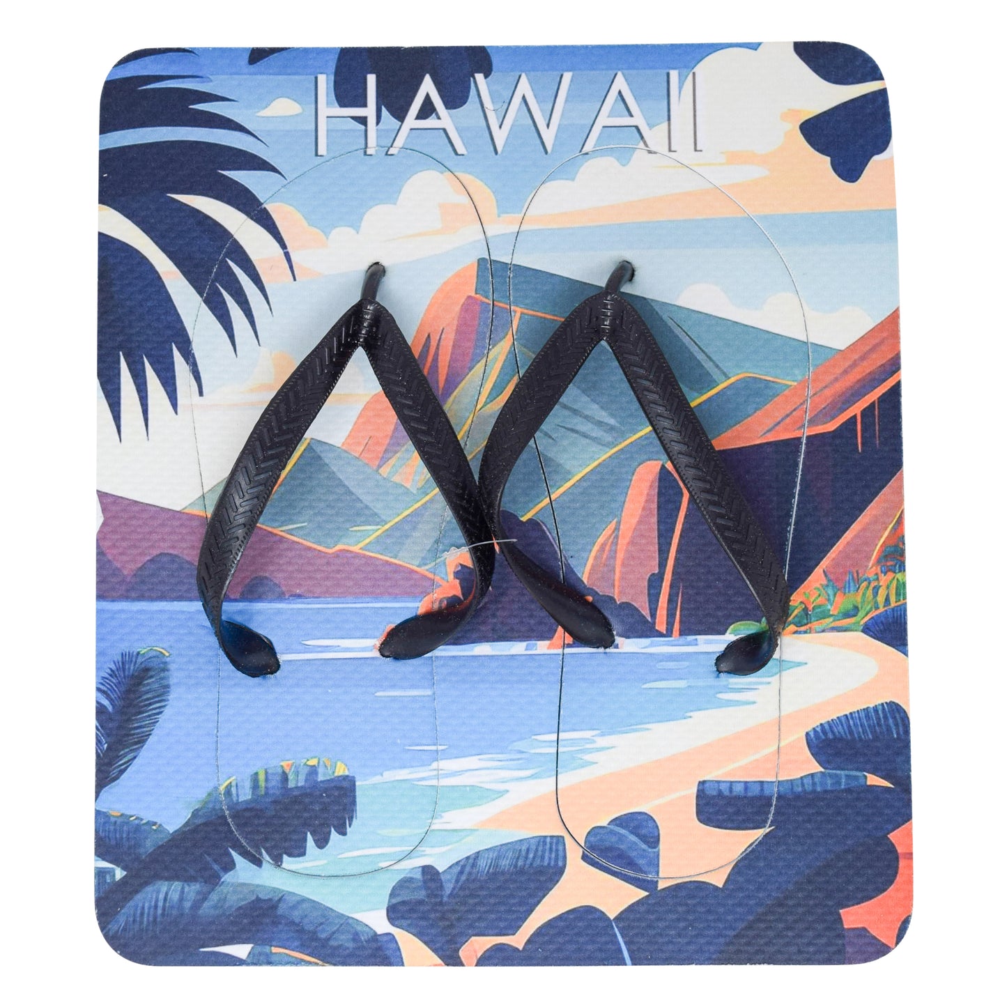 Unisex Flip Flops Sandal - Wall Art -Design: Cut Out Flip Flops - Name: HAWAI 1