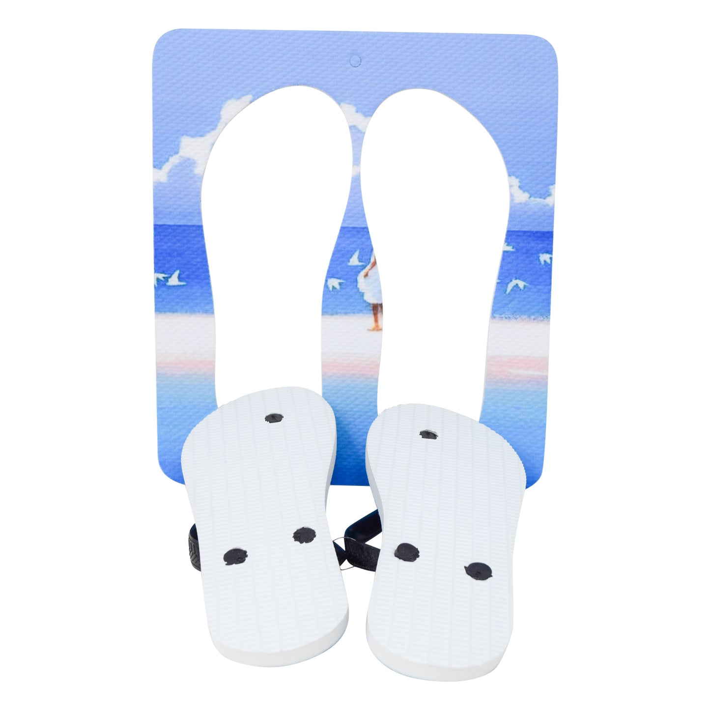 Unisex Flip Flops Sandal - Wall Art -Design: Cut Out Flip Flops - Name: SEAGULL 1